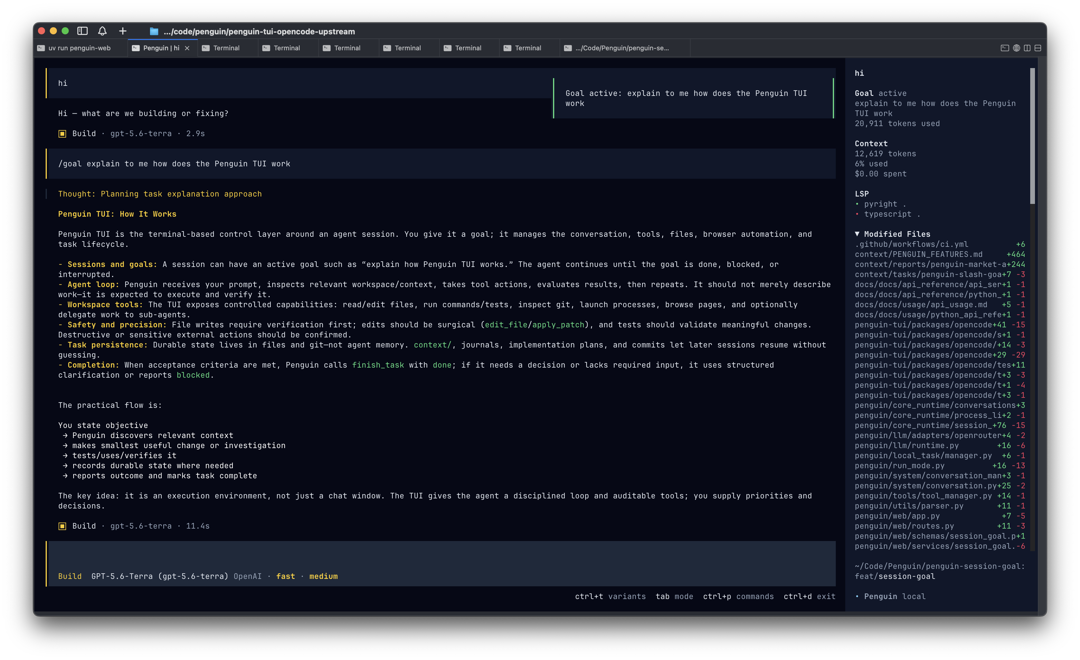 Penguin terminal session showing an active goal, agent response, context usage, and modified files